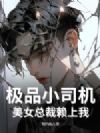 极品小司机,美女总裁赖上我