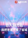 日入38万后,我把老家干成了省城
